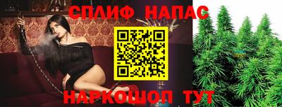 тгк Сланцы